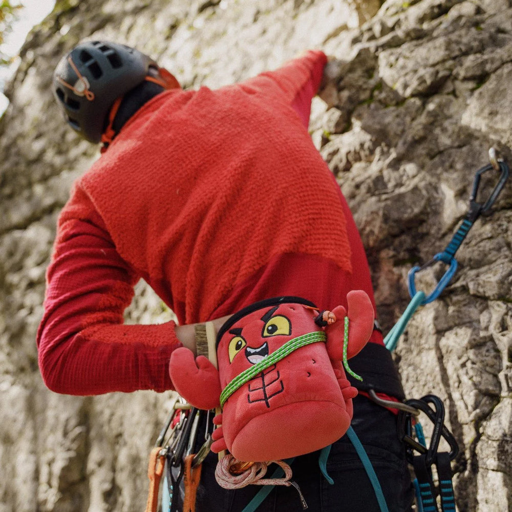 
                      
                        Chalkbag Lobster-YY Vertical-Max Climbing
                      
                    